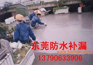 東莞防水補漏工程 樓面整體防水解決方案與價格分析