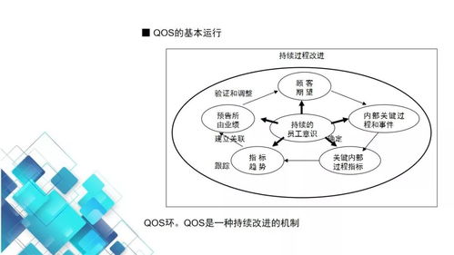 工廠高管必讀 信息系統運行維護服務與QoS質量運行系統培訓教材全套指南
